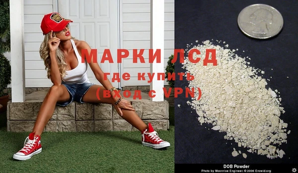 крисы Аркадак