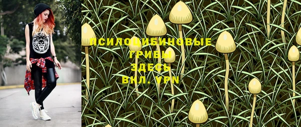 амфетамин Алексеевка