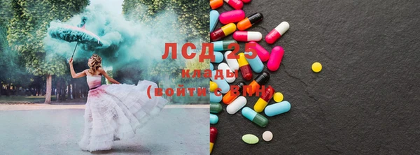крисы Аркадак