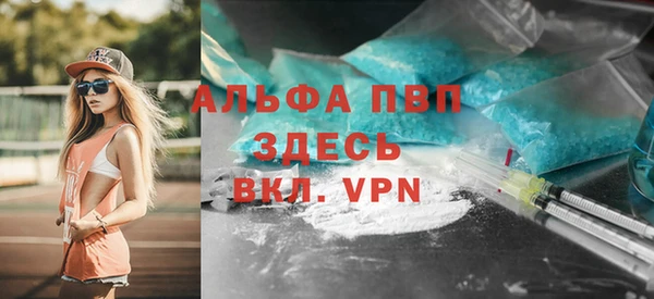 крисы Аркадак