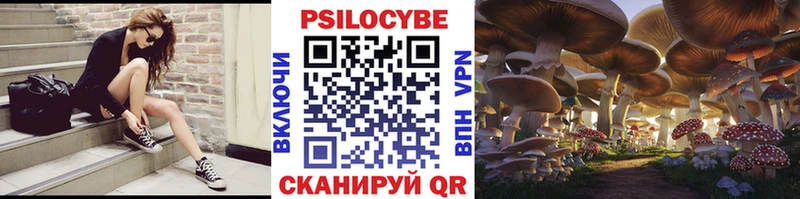гидра ТОР  Ступино  Галлюциногенные грибы прущие грибы 